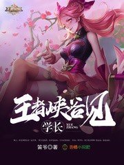 《学长,王者峡谷见》