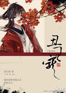 《丑王宠》
