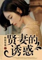 《贤妻之诱惑》