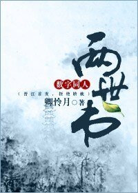 《(清穿同人)两世书》
