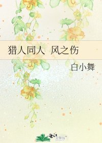 《猎人同人 风之伤》