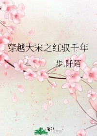 《穿越大宋之红驭千年》