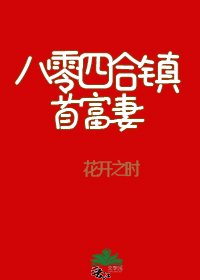 《八零四合镇首富妻》