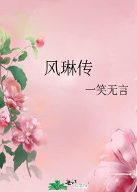 《风琳传》