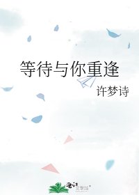 《等待与你重逢》