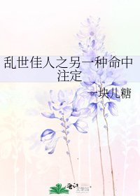 《乱世佳人之另一种命中注定》