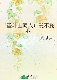 《(圣斗士同人)爱不爱我》