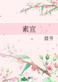 素宣