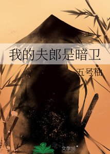 《我的夫郎是暗卫》
