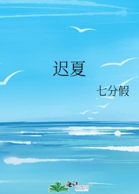 《迟夏》